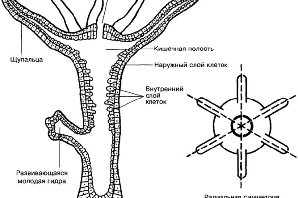 Мега ссылка mega